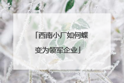 西南小厂如何蝶变为领军企业