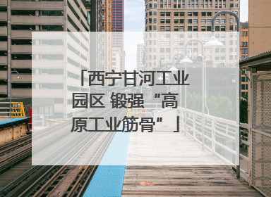 西宁甘河工业园区 锻强“高原工业筋骨”