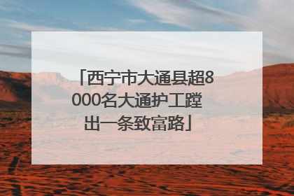 西宁市大通县超8000名大通护工蹚出一条致富路