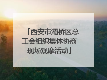 西安市灞桥区总工会组织集体协商现场观摩活动