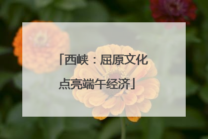 西峡：屈原文化点亮端午经济