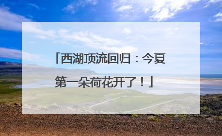 西湖顶流回归：今夏第一朵荷花开了！