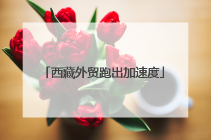 西藏外贸跑出加速度