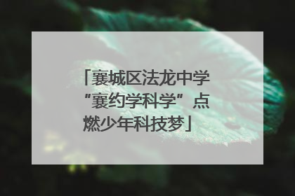 襄城区法龙中学“襄约学科学”点燃少年科技梦