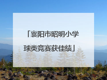 襄阳市昭明小学球类竞赛获佳绩