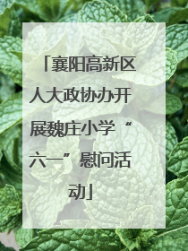 襄阳高新区人大政协办开展魏庄小学“六一”慰问活动