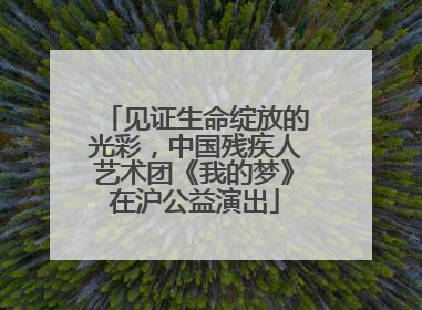 见证生命绽放的光彩，中国残疾人艺术团《我的梦》在沪公益演出