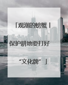 观潮的螃蟹丨保护耕地要打好“文化牌”
