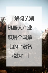 解码芜湖机器人产业跃居全国第七的“数智税钥”