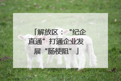 解放区：“纪企直通”打通企业发展“肠梗阻”