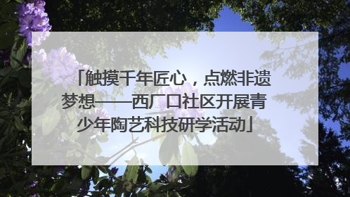 触摸千年匠心，点燃非遗梦想——西厂口社区开展青少年陶艺科技研学活动