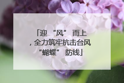 迎 “风” 而上，全力筑牢抗击台风 “蝴蝶” 防线