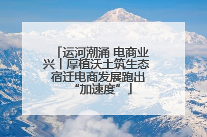 运河潮涌 电商业兴丨厚植沃土筑生态 宿迁电商发展跑出“加速度”
