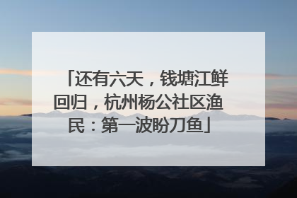 还有六天，钱塘江鲜回归，杭州杨公社区渔民：第一波盼刀鱼