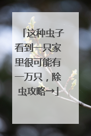 这种虫子看到一只家里很可能有一万只，除虫攻略→