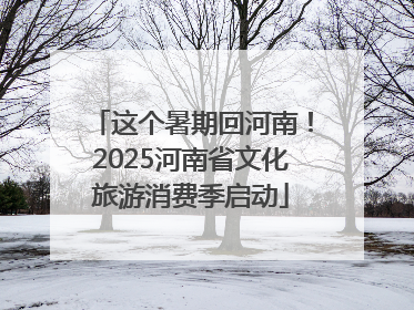 这个暑期回河南！2025河南省文化旅游消费季启动