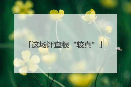 这场评查很“较真”