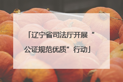辽宁省司法厅开展“公证规范优质”行动