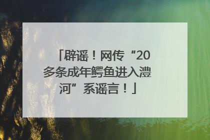 辟谣！网传“20多条成年鳄鱼进入澧河”系谣言！