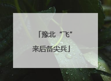 豫北“飞”来后备尖兵
