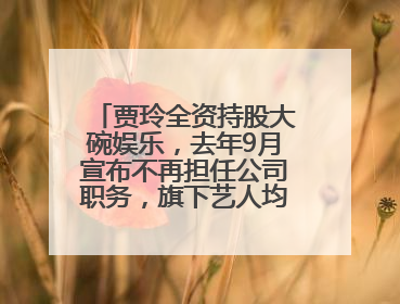 贾玲全资持股大碗娱乐，去年9月宣布不再担任公司职务，旗下艺人均不续约