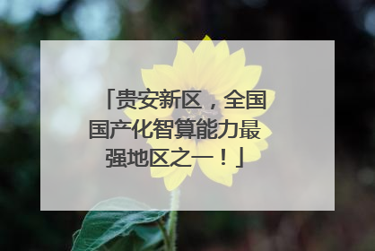 贵安新区，全国国产化智算能力最强地区之一！