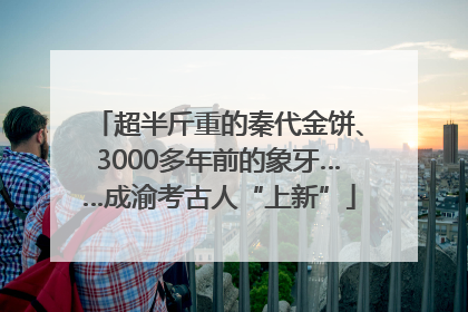 超半斤重的秦代金饼、3000多年前的象牙……成渝考古人“上新”