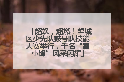 超飒，超燃！望城区少先队鼓号队技能大赛举行，千名“雷小锋”风采闪耀
