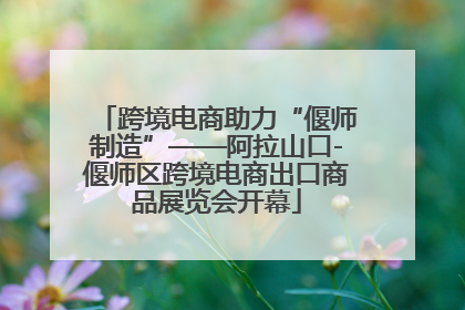 跨境电商助力“偃师制造”——阿拉山口-偃师区跨境电商出口商品展览会开幕