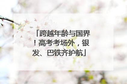 跨越年龄与国界！高考考场外，银发、巴铁齐护航
