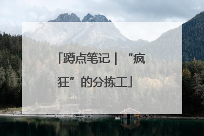 蹲点笔记｜“疯狂”的分拣工