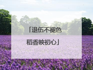 退伍不褪色 稻香映初心