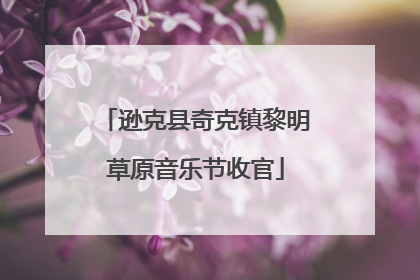 逊克县奇克镇黎明草原音乐节收官