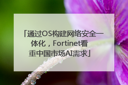 通过OS构建网络安全一体化，Fortinet看重中国市场AI需求
