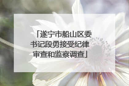 遂宁市船山区委书记段勇接受纪律审查和监察调查