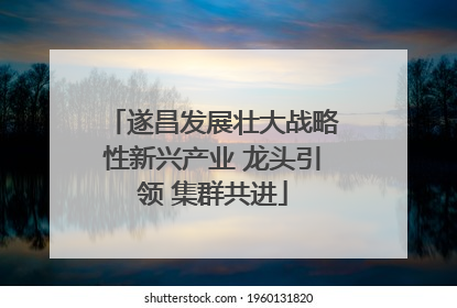遂昌发展壮大战略性新兴产业 龙头引领 集群共进
