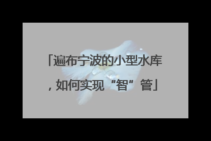 遍布宁波的小型水库，如何实现“智”管