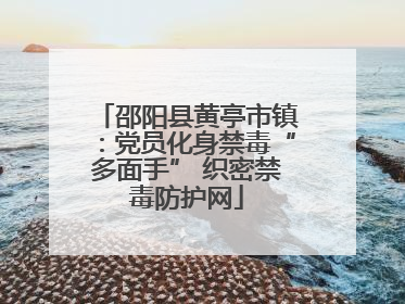 邵阳县黄亭市镇：党员化身禁毒“多面手” 织密禁毒防护网