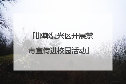 邯郸复兴区开展禁毒宣传进校园活动