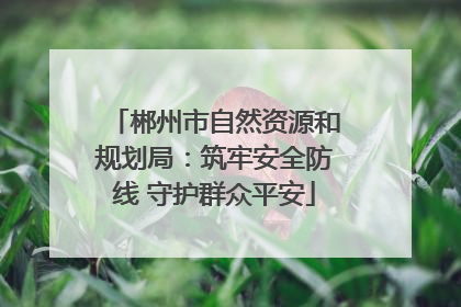 郴州市自然资源和规划局：筑牢安全防线 守护群众平安