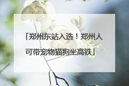 郑州东站入选！郑州人可带宠物猫狗坐高铁