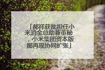 郝祥获批担任小米消金总助兼董秘，小米集团资本版图再现协同扩张