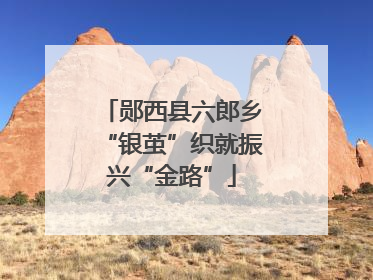 郧西县六郎乡“银茧”织就振兴“金路”