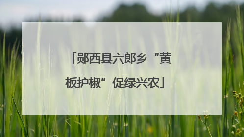 郧西县六郎乡“黄板护椒”促绿兴农
