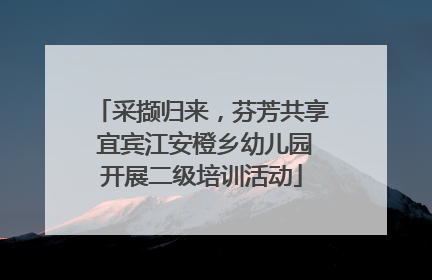 采撷归来，芬芳共享 宜宾江安橙乡幼儿园开展二级培训活动