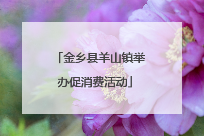 金乡县羊山镇举办促消费活动