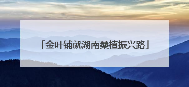 金叶铺就湖南桑植振兴路