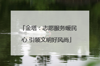 金塔：志愿服务暖民心 引领文明好风尚