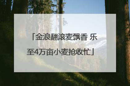 金浪翻滚麦飘香 乐至4万亩小麦抢收忙