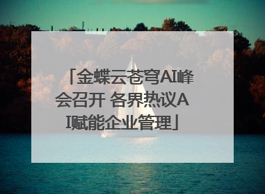金蝶云苍穹AI峰会召开 各界热议AI赋能企业管理